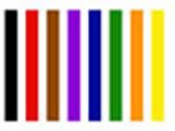 Jiu Jitsu Belts